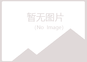 大新县莫爱媒体有限公司